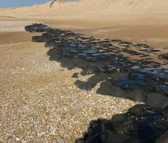 Non, il n'y a pas de mazout sur la plage d'Olonne-sur-Mer !