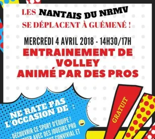 Les volleyeurs de Nantes-Rezé viendront s’entraîner à Guémené-Penfao !
