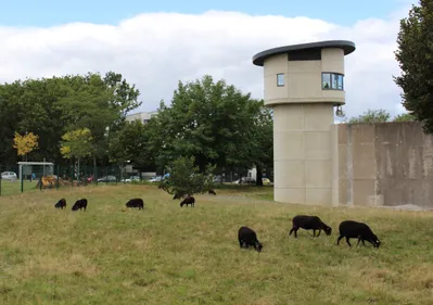 Nantes : des moutons en prison !