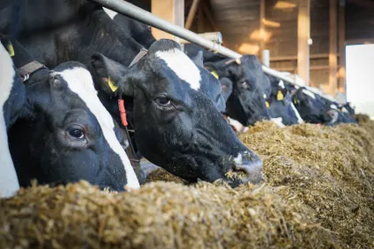 4 jours pour découvrir l'installation en exploitation agricole