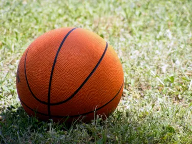 Handball, rugby, volley... Les résultats sportifs du weekend