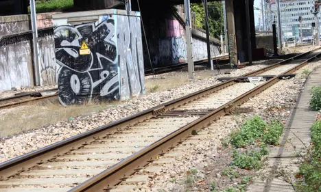 Un TER heurte des vaches à Sévérac, trafic ferroviaire perturbé