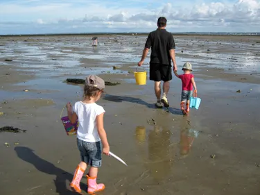 La pêche interdite au Nord de la Loire-Atlantique