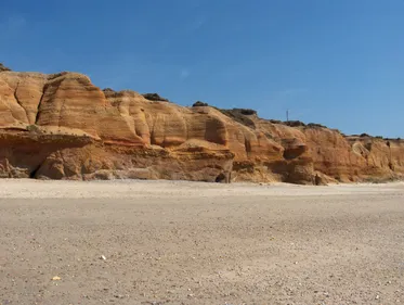 Redon : un bus peut vous conduire à la plage chaque jour pour deux...