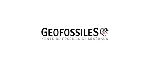 Geofossiles