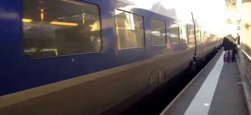 TGV contre sanglier à Juigné-sur-Sarthe : près de 300 personnes...
