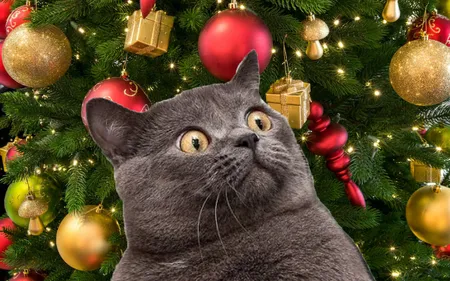 Un arbre de Noël que votre chat ne pourra pas détruire ! 