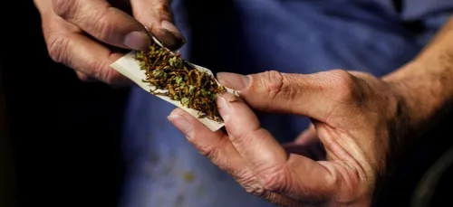 Mais pourquoi les français fument-ils autant du cannabis ? réponses...