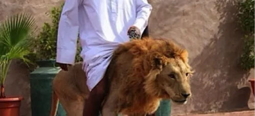Ce que vous allez voir ne peut se passer qu'à Dubaï ! (Photos)