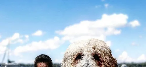 Un homme transforme son petit chien en géant avec Photoshop ! (photos)