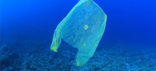 D'ici à 2050, il y aura plus de plastique que de poissons dans les...