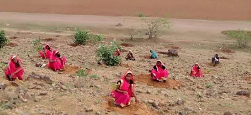 Un état en Inde bat le record de reforestation: 66 millions...