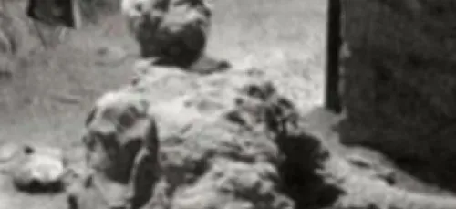 L'improbable image de ce squelette parfaitement conservé d'un homme...