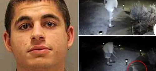 Il est condamné à 16 ans de prison pour avoir tué 21 chats ! (Vidéo)