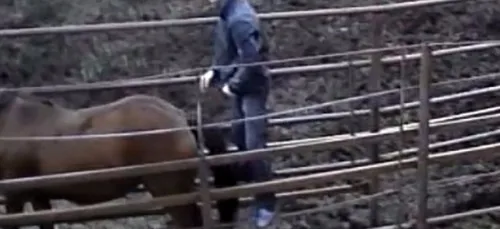 Elle largue son petit-ami après l'avoir vu... En train de violer...
