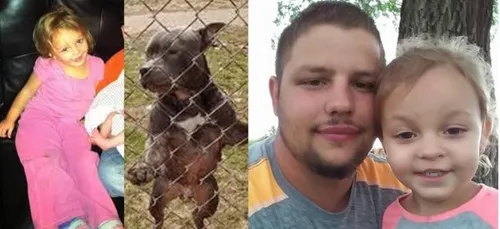 Une fillette de 3 ans, tuée par le pitbull que sa famille venait...