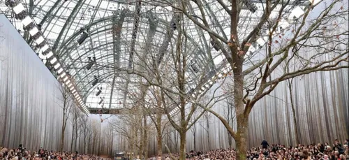 Pour un défilé, Chanel détruit des dizaines d'arbres !