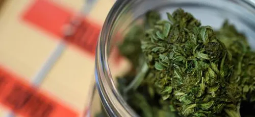 Etats-Unis : des ballots entiers de cannabis s'échouent sur les...
