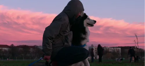 Netflix confirme l'arrivée de la série événement "Dogs"