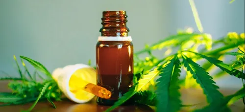 Qui peut utiliser l'huile de CBD ?