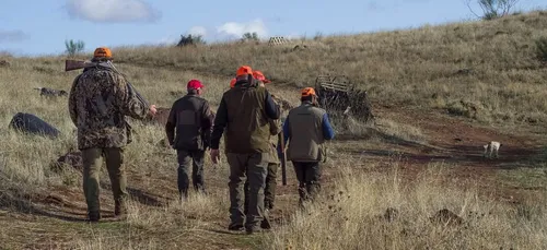 Des chasseurs ont organisé des "repas avec bar ouvert" en plein...