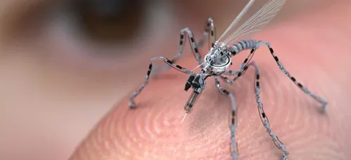 Gironde : deux cas autochtones de dengue, une première dans le...