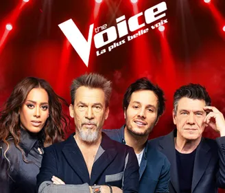 The Voice : une soirée intense ce soir sur TF1 ! (Extrait)