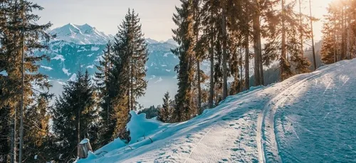 Œil bionique et station de ski pas chère : voici le journal des...