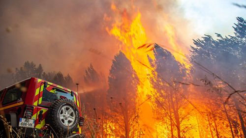 [ ENVIRONNEMENT ] Incendie en Gironde: Une catastrophe humaine,...