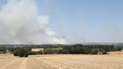 Forêt de Brocéliande : plus de 300 hectares ont brûlé 