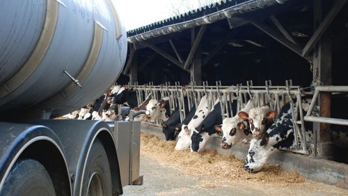 Carhaix: les producteurs laitiers réclament une augmentation du...
