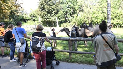 Apéro ou brunch au zoo de Mulhouse