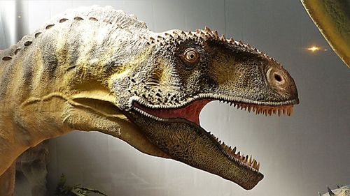Aude : la réouverture du musée des dinosaures à Espéraza
