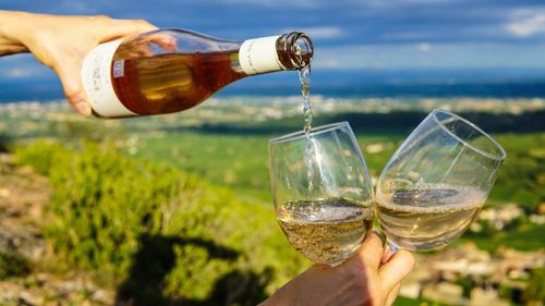 Fin du Sud de France pour les vins : réaction des professionnels 