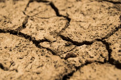 La sécheresse s'aggrave dans la Loire