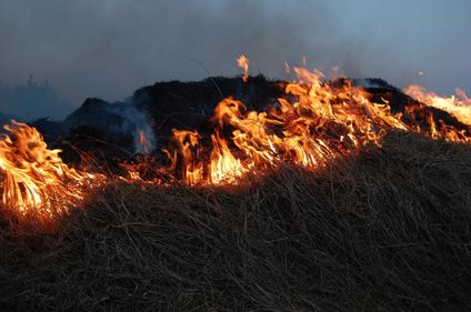 Incendie à Saint-Marcel-de-Félines : 5 hectares de végétation ont...