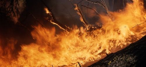 Gironde : Déjà 2700 hectares détruits par les deux incendies