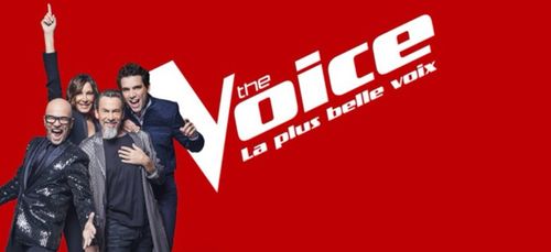The Voice 7 : Voici les réseaux sociaux des 15 finalistes