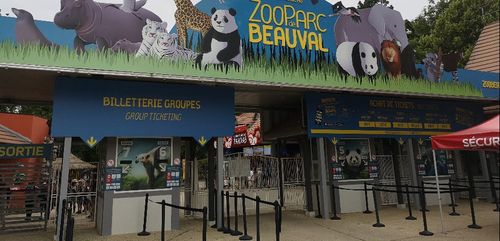 [PODCAST] Pass sanitaire : le ZooParc de Beauval s'adapte