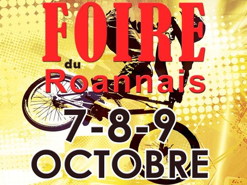 La Foire du Roannais célèbre sa 20e édition au Scarabée 