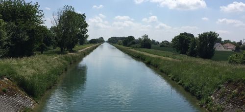 Chien coincé sous le canal de Bourgogne : le préfet réagit