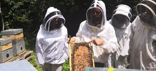 Des ruches connectées en Bourgogne-Franche-Comté