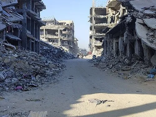 نشرة