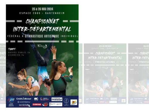 Championnat interdépartemental de Gymnastique Artistique individuel 
