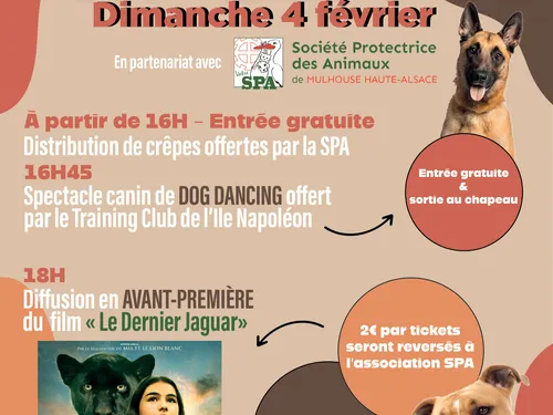Ciné Dog au profit de la SPA de Mulhouse à Ciné Croisière Cernay
