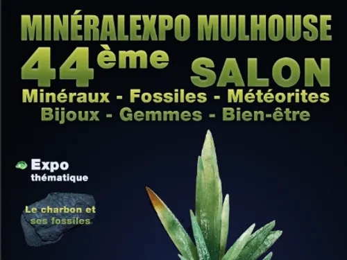 44ème salon "MINERALEXPO" à Mulhouse