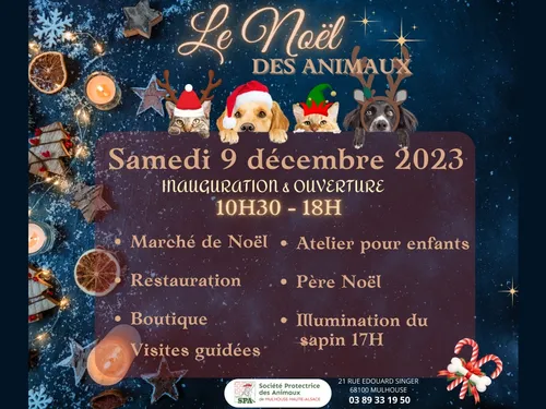 SPA de Mulhouse :  Le Noël des Animaux