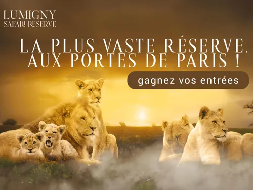 Lumigny Safari Reserve