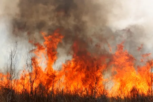 [ Société ] Risque incendie élevé : fermeture exceptionnelle des...