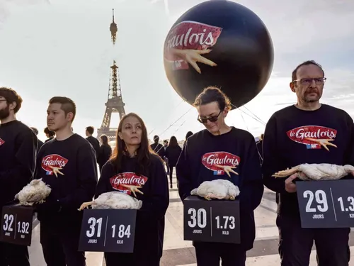 [ SANTE - FRANCE ] Le groupe le Gaulois dans le collimateur de...